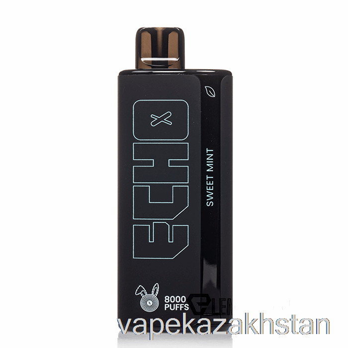 Vape Kazakhstan ECHO 8000 Disposable Sweet Mint